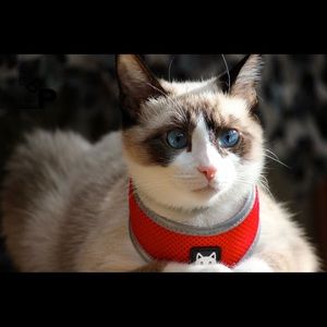 Meet your Posher, Edyta